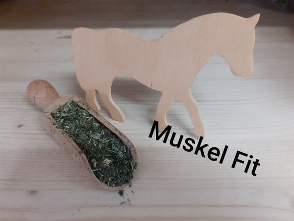 Muskel Fit